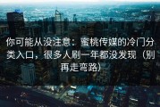 你可能从没注意：蜜桃传媒的冷门分类入口，很多人刷一年都没发现（别再走弯路）