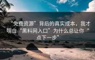 “免费资源”背后的真实成本，我才明白“黑料网入口”为什么总让你“点下一步”