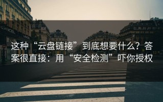 这种“云盘链接”到底想要什么？答案很直接：用“安全检测”吓你授权