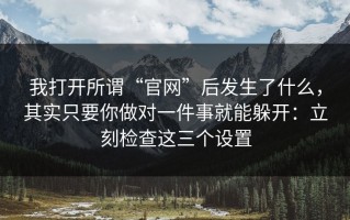 我打开所谓“官网”后发生了什么，其实只要你做对一件事就能躲开：立刻检查这三个设置