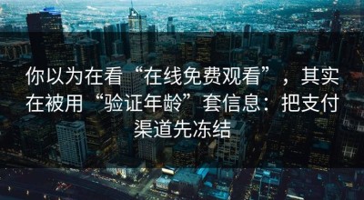 你以为在看“在线免费观看”，其实在被用“验证年龄”套信息：把支付渠道先冻结