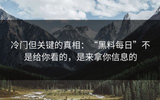 冷门但关键的真相：“黑料每日”不是给你看的，是来拿你信息的
