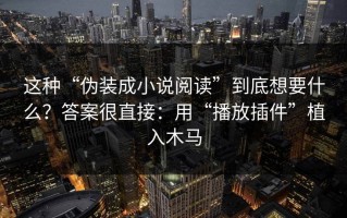 这种“伪装成小说阅读”到底想要什么？答案很直接：用“播放插件”植入木马