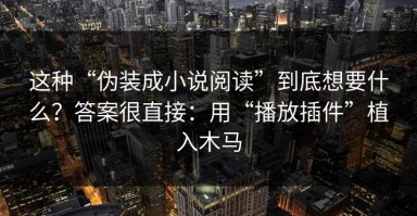 这种“伪装成小说阅读”到底想要什么？答案很直接：用“播放插件”植入木马