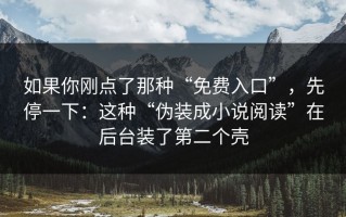如果你刚点了那种“免费入口”，先停一下：这种“伪装成小说阅读”在后台装了第二个壳
