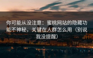 你可能从没注意：蜜桃网站的隐藏功能不神秘，关键在人群怎么用（别说我没提醒）