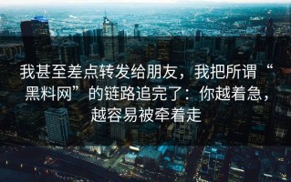 我甚至差点转发给朋友，我把所谓“黑料网”的链路追完了：你越着急，越容易被牵着走