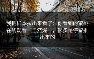 我把样本拉出来看了：你看到的蜜桃在线观看“自然爆”，很多是停留推出来的