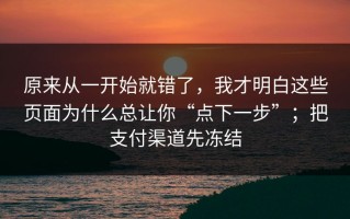 原来从一开始就错了，我才明白这些页面为什么总让你“点下一步”；把支付渠道先冻结