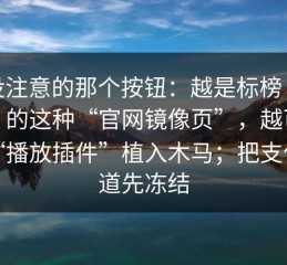 你没注意的那个按钮：越是标榜“免费”的这种“官网镜像页”，越可能用“播放插件”植入木马；把支付渠道先冻结
