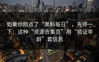 如果你刚点了“黑料每日”，先停一下：这种“资源合集页”用“验证年龄”套信息