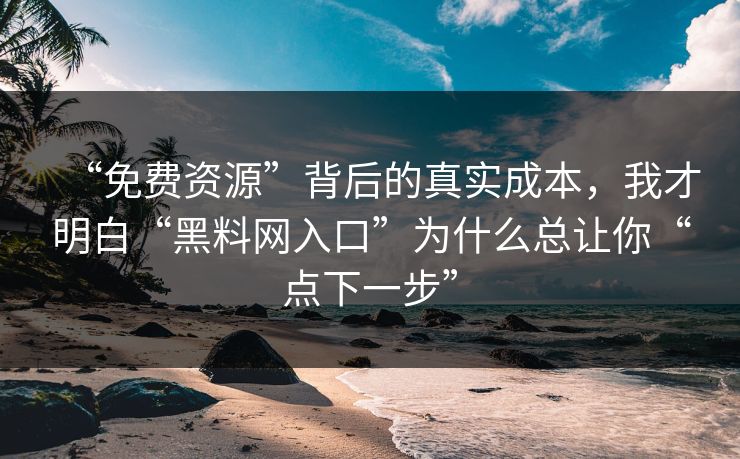 “免费资源”背后的真实成本，我才明白“黑料网入口”为什么总让你“点下一步”