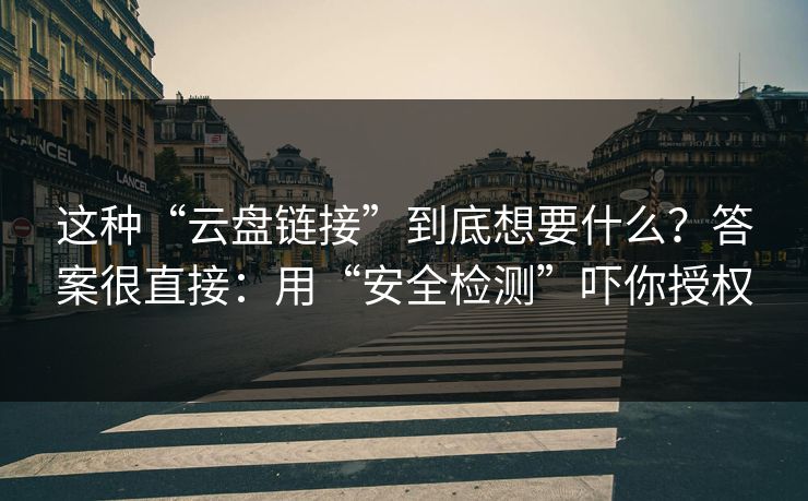 这种“云盘链接”到底想要什么？答案很直接：用“安全检测”吓你授权