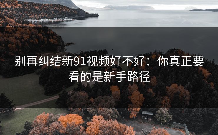 别再纠结新91视频好不好：你真正要看的是新手路径